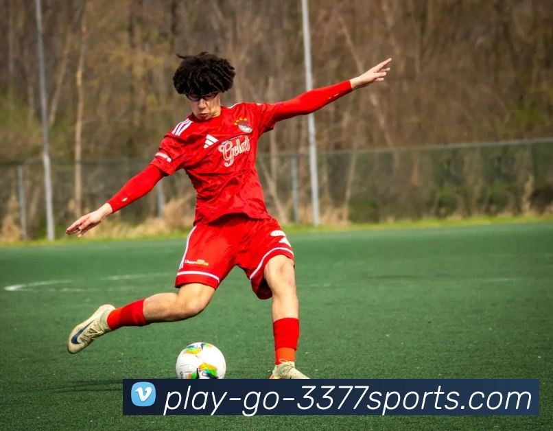 3377体育官方网站平台生态图