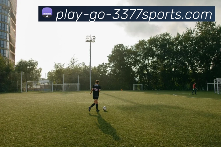 3377体育官方网站APP 高清赛事图